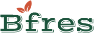 Bfres Theme